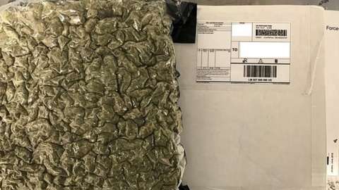 Cannabis seized from a parcel delivery