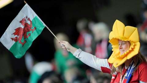 A female Wales fan waves a flag