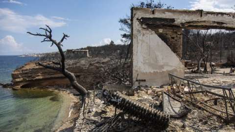 A photo shows the burned and blackened husks of buildings and twisted blackened trees sitting by the coastline in Greece