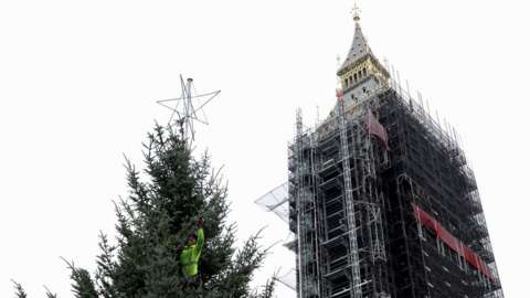 Christmas tree going up outside the Houses of Parliament
