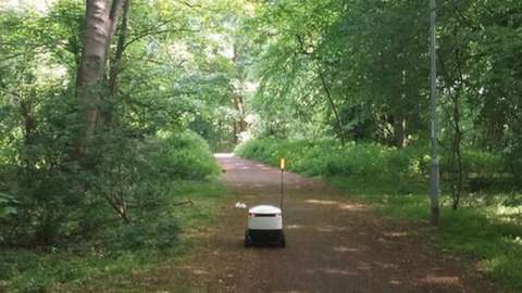 Delivery robot in Lings Wood, Northampton