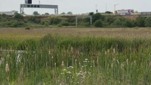 The M6 motorway runs next to Doxey Marshes where work will be carried out