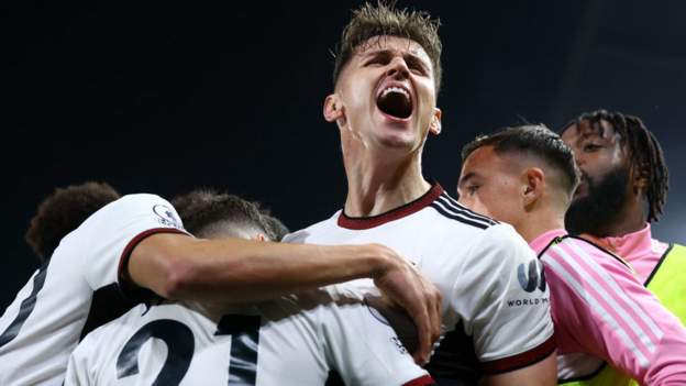 Fulham 'not thinking about European football'