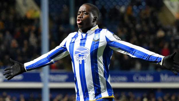 Sheffield Wednesday 3-1 Hull City: Owls impress with dominant win over 10-man Tigers