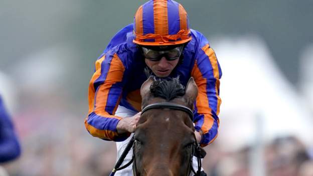 'Unique' Paddington wins Sussex Stakes at Goodwood