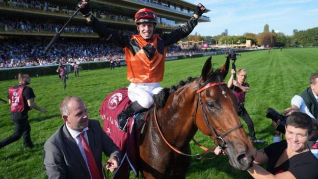 'Very rare' talent Ace Impact named horse of year
