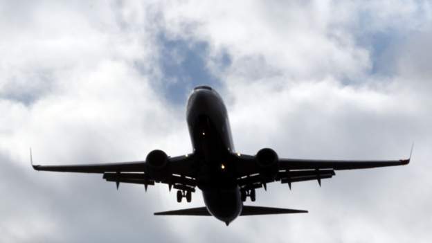 Bird caused engine fire on Arsenal plane after WCL tie