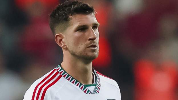 Wales players '100%' behind Page, says Mepham