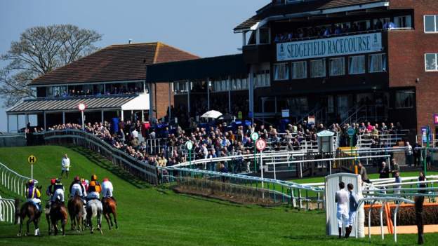 Sedgefield off after two horses fatally injured