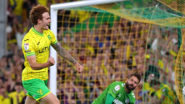 Norwich 2-0 Millwall: Josh Sargent scores twice as Canaries seal second Champion..