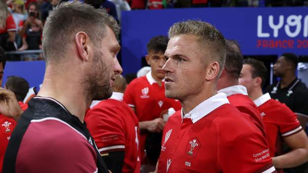 'We know how important Dan is to Wales' - Anscombe