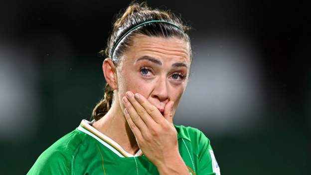 'World Cup exit hurts but Republic will be back'