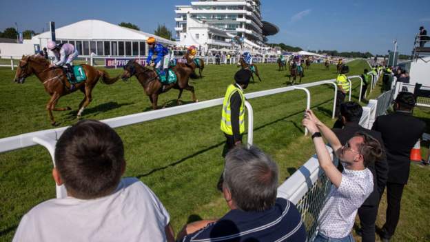 New research aims to reduce horse racing injuries
