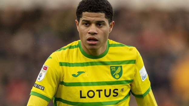 Norwich thump lacklustre Rotherham to go sixth