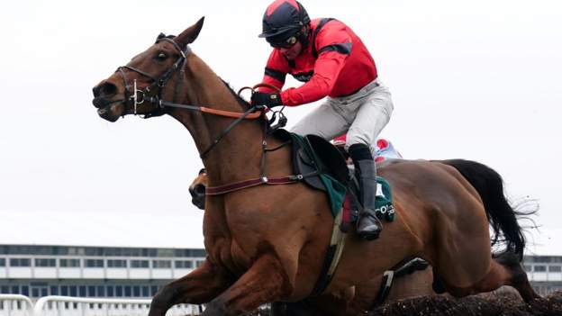 Ahoy Senor secures poignant Cheltenham triumph