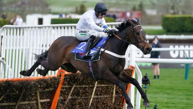 Constitution Hill shines in Newcastle win