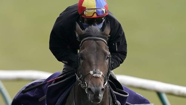 2 000 Guineas Favourite Too Darn Hot Ruled Out By Trainer John Gosden c Sport