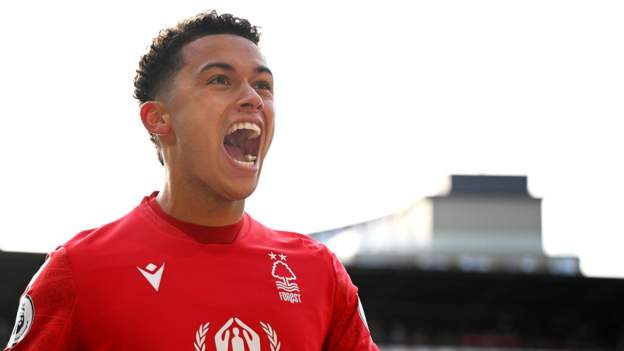Johnson aims to emulate Collymore at Forest
