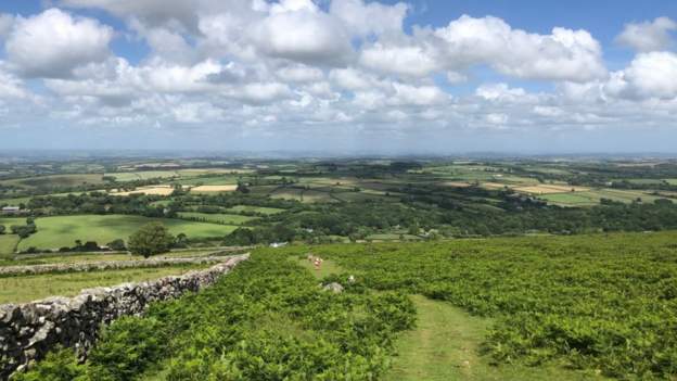 Devon - BBC News