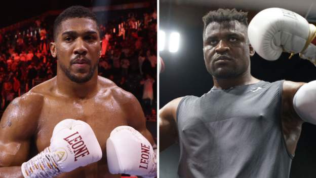 Joshua to face ex-UFC fighter Ngannou, says Hearn