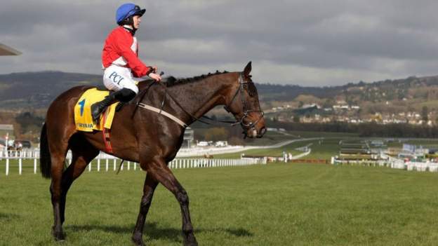 Two-time winner Allaho to miss Cheltenham Festival