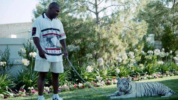 Tiger King: Memphis Depay not the first athlete to post picture with exotic  animal - BBC Sport