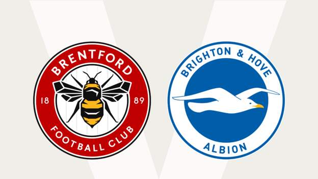 Brentford V Brighton And Hove Albion Pick Your Seagulls Starting Line Up