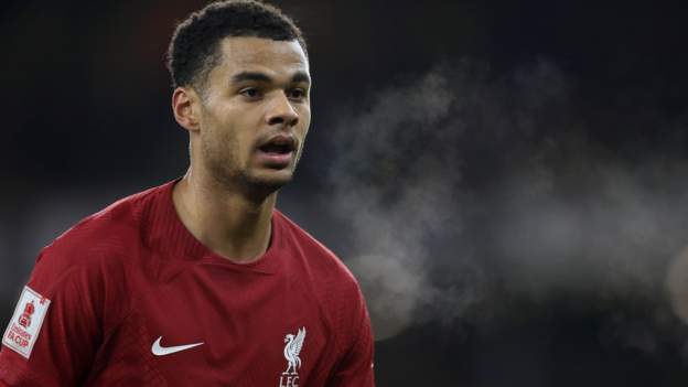 Cody Gakpo: Forward might have joined Liverpool too early, says new Netherlands boss Ronald Koeman - BBC Sport