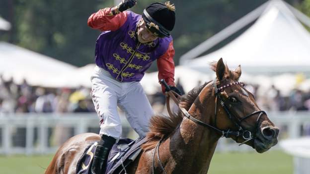 Desert Hero eyes first Royal Classic win since 1977