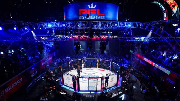 Saudi Arabia's PIF buys stake in PFL