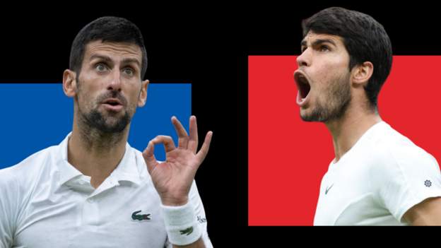 <div>Wimbledon 2023: Novak Djokovic faces Carlos Alcaraz in men's singles final</div>