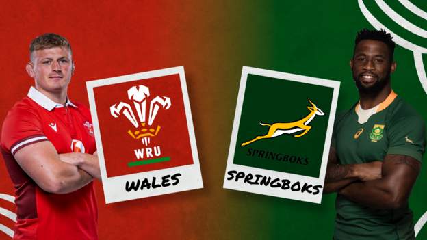 Wales V South Africa: Anxious Wait For World Cup Hopefuls As Springboks ...