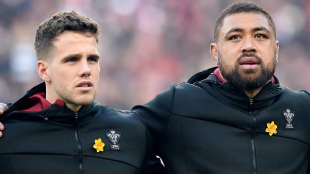 Wales call up Hardy as Faletau replacement