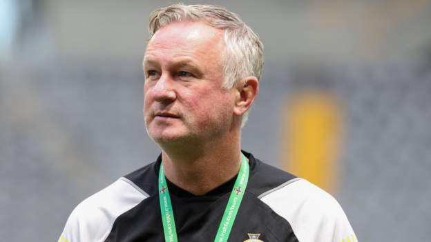 Michael O'Neill says NI fans must accept Casement Park 'reality' over Euro 2028