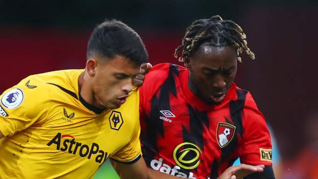 Bournemouth 0-0 Wolverhampton Wanderers: Managerless Cherries earn point