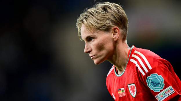 Euro qualifying 'one last push' for Fishlock