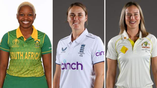 Your women's cricket team of the year revealed