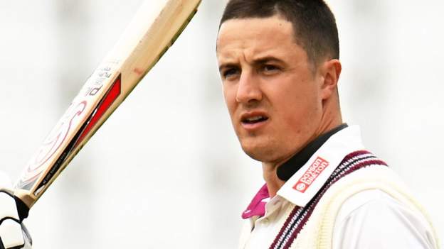 County Championship: Somerset batters shine against Northants