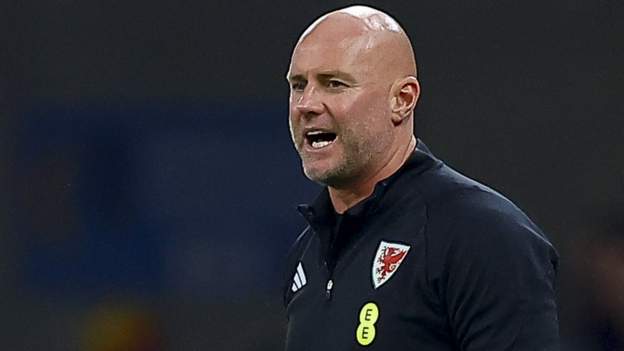 <div>Robert Page: Boss 'proud' of Wales' reaction to criticism with South Korea draw</div>