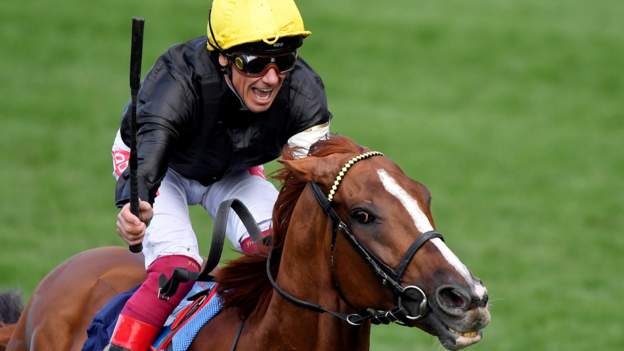 Royal Ascot 2020: Schedule, racecards, results and BBC coverage details Royal Ascot 2020: Schedule, racecards, results and BBC coverage details