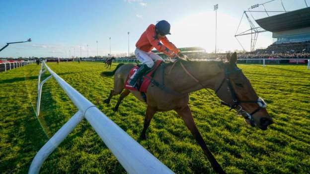 Bravemansgame and Allaho among King George runners