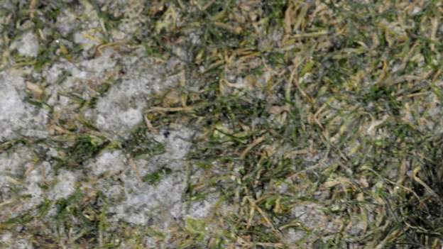 Two League Two games off because of frozen pitches
