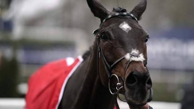 Altior: Two-time Queen Mother Champion Chase winner is retired, aged 11