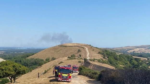 Dorset - BBC News
