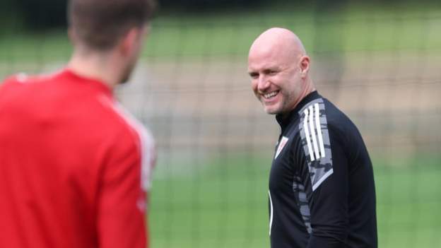 Robert Page: Wales to sign up manager 'in forthcoming weeks', says FAW president