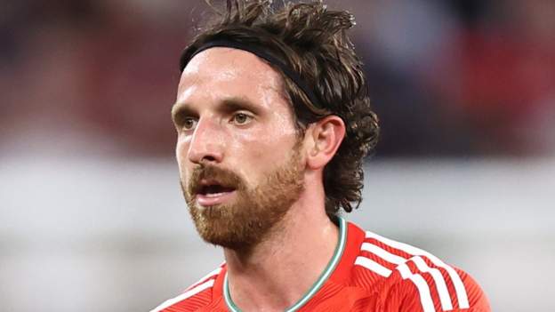 No injury for Wales' Allen - Swansea boss Martin