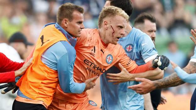 Melbourne Victory sanctioned after pitch invasion