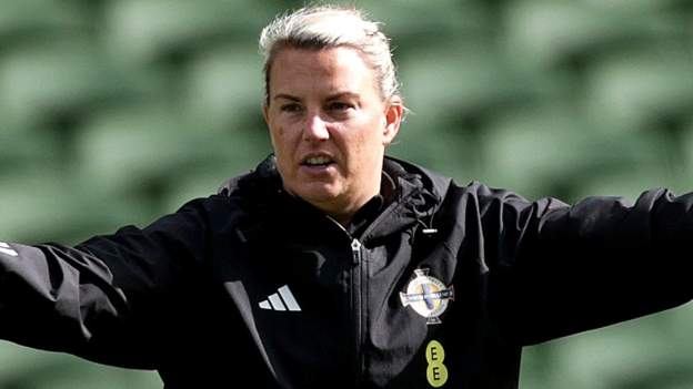 Oxtoby debut ends in defeat as Republic beat NI