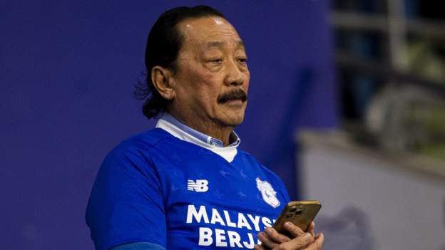Cardiff must appoint long-term boss - Earnshaw