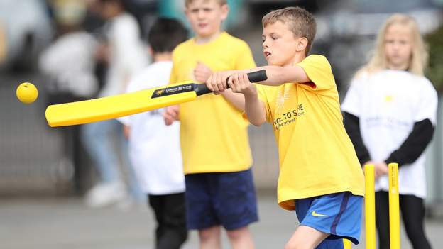 England and Wales Cricket Board and partner charities to increase cricket accessibility in schools